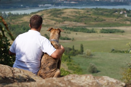 iStock / Somogyvari